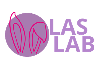 Las Lab Desenvolvimento de Sites